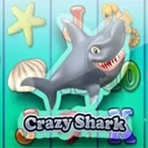 Crazy Shark